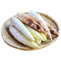 臨安春筍 5斤（20個左右）新鮮應(yīng)季竹筍蔬菜 臨安春筍