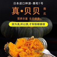 甘肅沙漠正宗日本惠和1號(hào)貝貝南瓜板栗味老瓜新鮮4斤寶寶輔食包郵