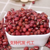 菲凌凱紅小豆 五谷雜糧粗糧雜糧小紅豆真空包裝紅豆2斤