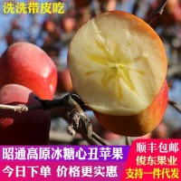 云南昭通蘋果高原紅富士冰糖心丑蘋果新鮮水果5斤10斤順豐包郵