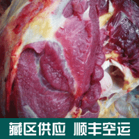 供應(yīng)甘肅天祝白牦牛肉 新鮮牦牛肉 西藏牦牛肉 冷凍包裝生肉批發(fā)