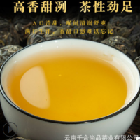 現(xiàn)貨批發(fā) 大雪山龍珠 云南普洱茶生茶 散裝春茶 廠(chǎng)家直發(fā)