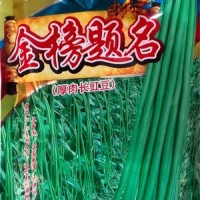 批發(fā)蔬菜種子 華贛翠綠長豆角 基地 菜園 菜場種子 400克廠家供應(yīng)