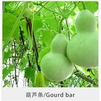 常年供應(yīng)葫蘆條干瓢 多種用途葫蘆條 葫蘆條多規(guī)格