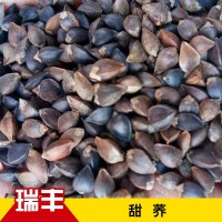 批發(fā)供應(yīng)甜蕎500g黑蕎麥帶殼甜蕎麥釀酒鳥(niǎo)糧五谷雜糧原料燒酒蕎麥