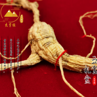 大掌柜東北特產(chǎn)吉林長(zhǎng)白山人參禮盒五寶禮盒50g/盒泡酒煲湯送禮