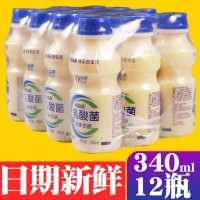 原味胃動(dòng)力乳酸菌飲品整箱340ml*12瓶早餐酸奶益生元牛奶兒童飲料