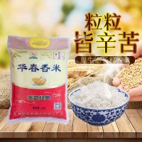 限購 2022年新米華春香米江西特產(chǎn)奉新大米5KG10斤袋裝家用米廠家