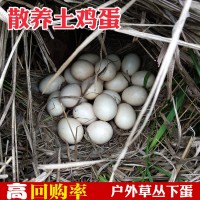 農(nóng)家柴雞蛋散養(yǎng)土雞蛋批發(fā)純土雞蛋笨雞蟲草土雞蛋30枚