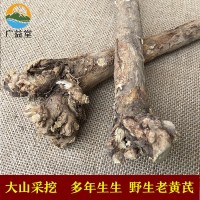 甘肅岷縣野生黃芪大條 可切黃芪片磨粉 批發(fā)供應(yīng)無硫北芪條北芪片