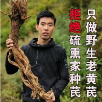 甘肅特產野生黃芪大片岷縣無硫野生老黃芪整支條批發(fā)供應一件代發(fā)