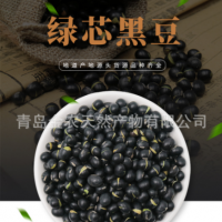 廠家直供黑皮綠仁烘炒黑豆-量大質(zhì)優(yōu)，出口品質(zhì)