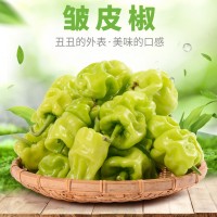 云南特產(chǎn)農(nóng)家自種皮薄皺皮辣虎皮辣椒青辣椒清脆新鮮蔬菜現(xiàn)摘現(xiàn)發(fā)（價(jià)格面議）