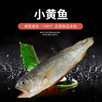 舟山東海3條/400g大黃魚 冷凍簡(jiǎn)裝凍貨黃魚 批發(fā)家用鮮美深水黃魚