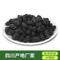 22年新貨桑葚干食用桑果限量四川產地免洗無沙黑桑椹干果子茶散裝