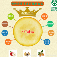 廣西特產融安金桔中國地理標志產品新鮮水果現摘特級脆蜜金柑包郵