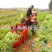 多功能根莖作物采收機(jī) 鏈條式瘋狂花生收獲機(jī) 不落果收獲設(shè)備