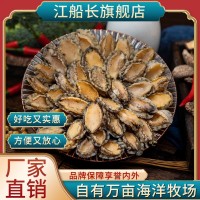 江船長(cháng)有機鎖鮮冷凍鮑魚(yú)肉去殼去內臟65粒裝500g連江海鮮廠(chǎng)家直銷(xiāo)  20盒起批