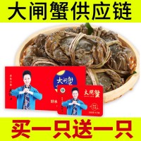 陽澄湖鎮(zhèn)大閘蟹禮券中秋禮品大閘蟹團(tuán)購批發(fā)螃蟹量大價優(yōu)招代理