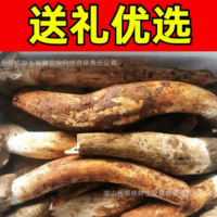 云南四川新鮮雞樅菌不開傘大白雞樅菌大雞樅傘把菇雞肉菌順豐包郵