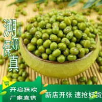 綠豆 大量批發(fā)散裝綠豆 發(fā)芽綠豆 五谷雜糧批發(fā) 一件代發(fā)