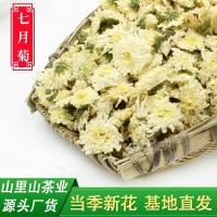 22年新花山里山安徽黃山貢菊散裝菊花茶批發(fā)產(chǎn)地貨源500克白菊花