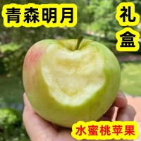 青森明月蘋(píng)果水蜜桃蘋(píng)果脆甜新鮮水果包郵5斤煙臺(tái)寶山明月禮盒  3件起批