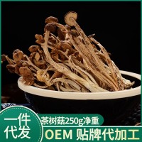 【一件代發(fā)】古田茶樹菇不開傘250克南北干貨菌菇煲湯批發(fā)未開傘