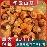 云南產(chǎn)地姬松茸長腿短腿蘑菇 酒店煲湯食用菌干貨500g散裝批發(fā) 2件起批