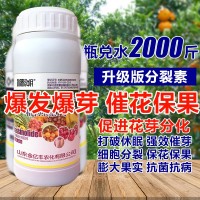 1000毫升多肉植物細(xì)胞分裂素催芽劑促花促生長?；ū９~面肥正品