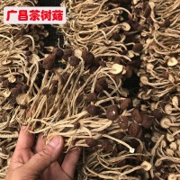 新貨 江西廣昌茶樹菇干貨10斤裝 不開傘茶樹菇 干貨