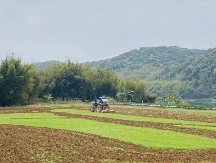 金融鏈接農(nóng)業(yè)精準滴灌　助力“新農(nóng)人”追尋“稻田夢”