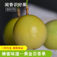 廣西欽蜜9號(hào)黃金百香果雞蛋果新鮮熱帶水果3斤5斤9斤大果一件代發(fā)