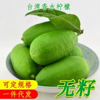 一件代發(fā)海南無籽香水檸檬臺(tái)灣子彈頭長(zhǎng)條奶茶店專用檸檬5斤整箱