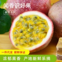 廣西新鮮百香果3/5/9斤大果紫香一號(hào)西番蓮熱帶酸甜水果一件代發(fā)