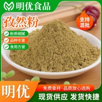 孜然粉 火鍋底料辣椒醬大魷魚雞排裹粉 燒烤粉調(diào)味料香辛孜然粉