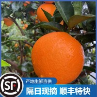 云陽紐荷爾新鮮水果臍橙維C橙子批發(fā)廣柑5斤整箱現(xiàn)摘應季臍橙現(xiàn)貨