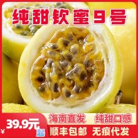 海南欽蜜9號黃金百香果 新鮮西番蓮當季水果甜果黃果代發(fā)