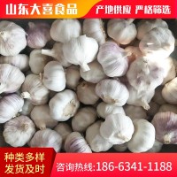 山東農(nóng)家紫皮干garlic 現(xiàn)挖濕蒜基地直發(fā)保鮮大蒜白皮新鮮 garlic