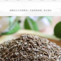 廠(chǎng)家直供一手貨源小包裝調(diào)味品燒烤用調(diào)料孜然招代理經(jīng)銷(xiāo)商