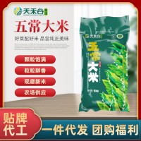 熱銷五常大米10斤裝長粒米有機種植自產(chǎn)稻花香2號東北大米5kg批發(fā)