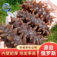 俄羅斯 二紅 進(jìn)口淡干海參50g 淡干海參干貨淡干海參海鮮批發(fā)現(xiàn)供