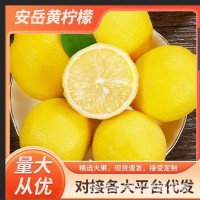 安岳黃檸檬新鮮水果批發(fā)一二級精品檸檬多規(guī)格產(chǎn)地直發(fā)